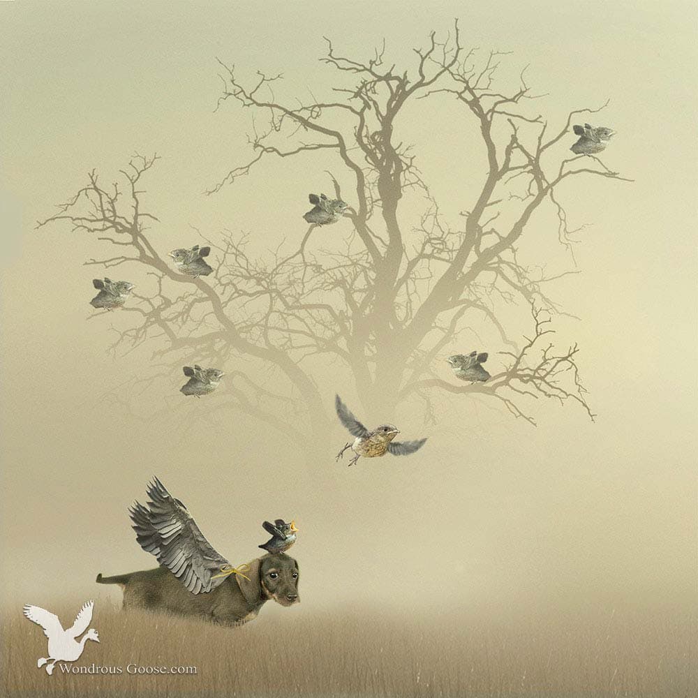 Yora the bird whisperer-Limited Prints